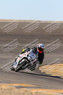 media/Jan-13-2024-SoCal Trackdays (Sat) [[9c032fe5aa]]/Bowl Exit Set 2 (1135am)/